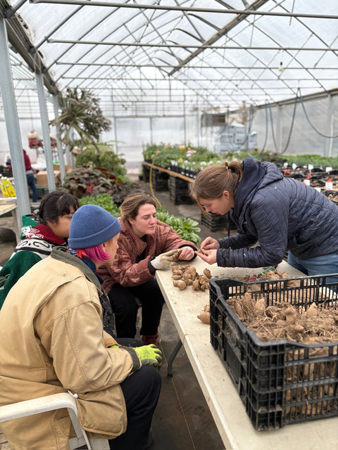 The Gardener's Workshop Class