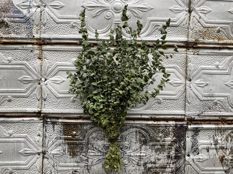 Dried Foliage Bunch-Eucalyptus