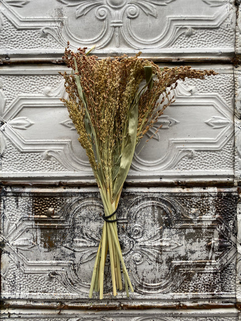 Dried Grasses-Broomcorn Blonde