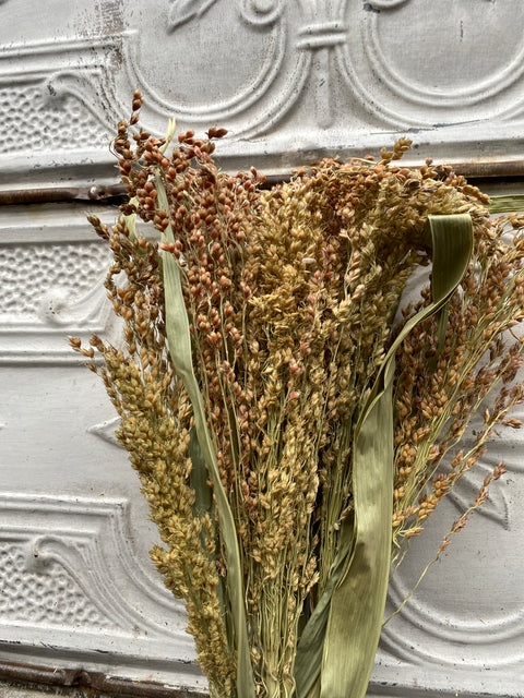 Dried Grasses-Broomcorn Blonde