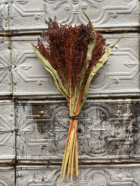 Dried Grasses-Broomcorn Red