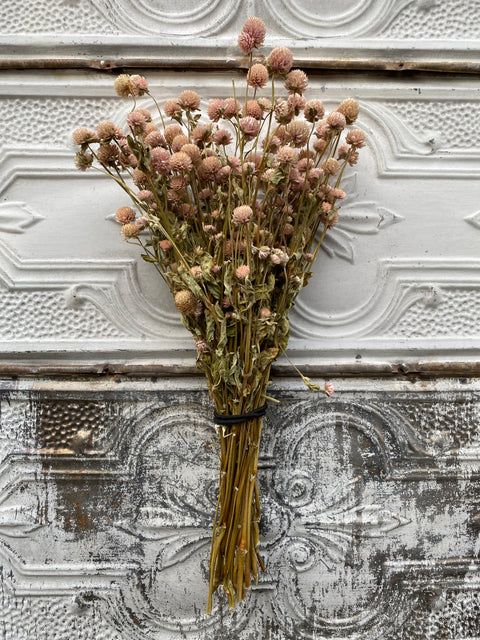 Dried Flower Bunch-Gomphrena Blush