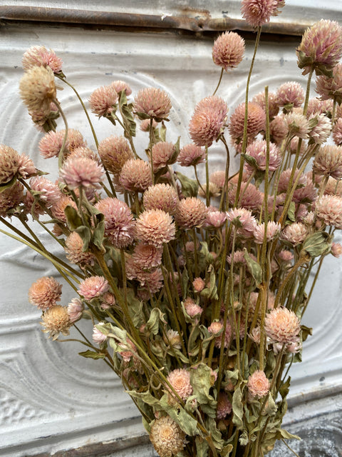 Dried Flower Bunch-Gomphrena Blush