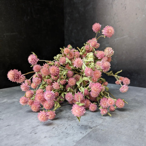 Dried Flower Bunch-Gomphrena Pink