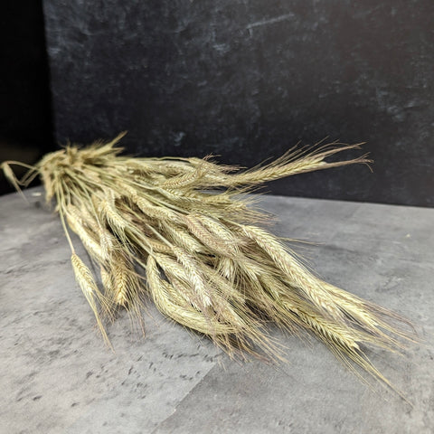 Dried Grasses-Rye