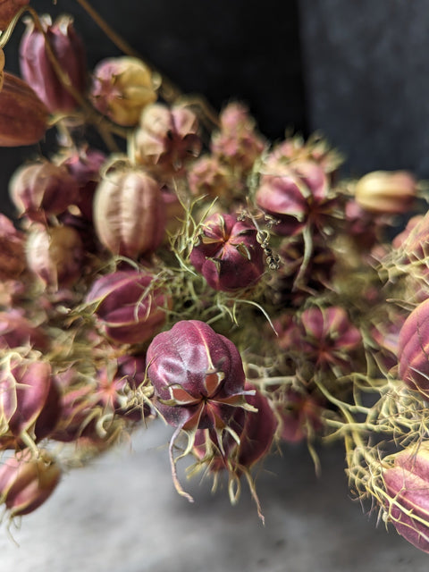 Dried Flower Bunch-Nigella Pods