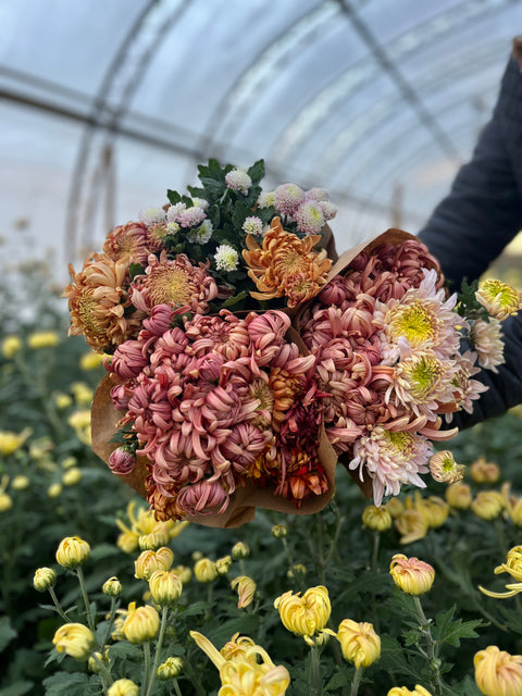 Heirloom Mums at Your Door