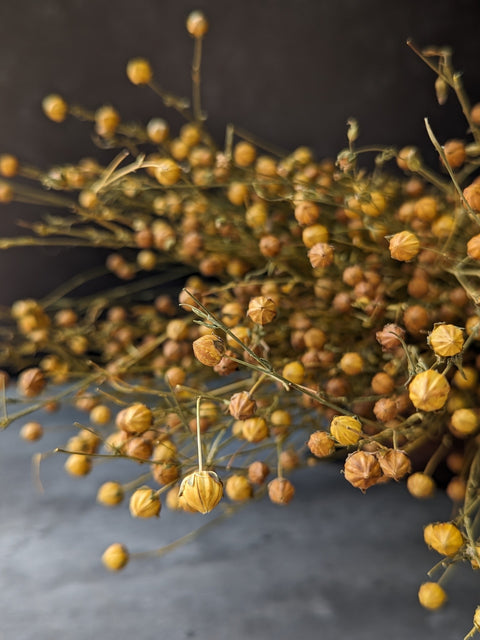 Dried Grasses-Flax