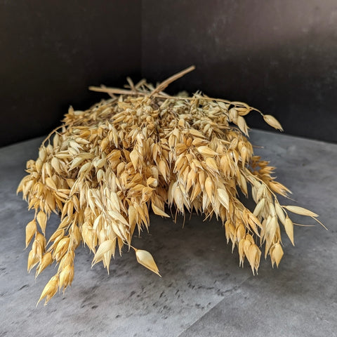 Dried Grasses-Oats