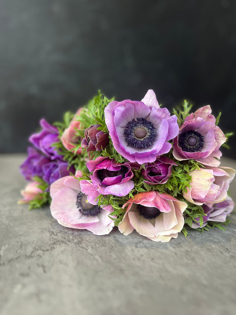 Anemone Corms-Rarity - Sunny Meadows Flower Farm
