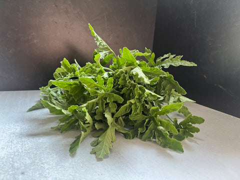 Geranium Rooted Cutting-Lemon Rose - Sunny Meadows Flower Farm