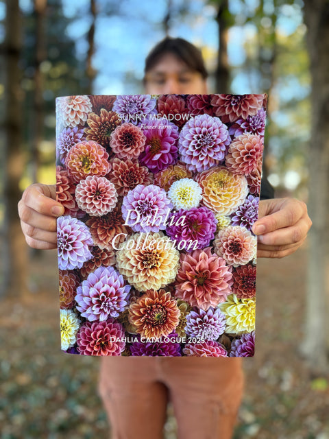 Dahlia Collection Catalogue 2025 - Sunny Meadows Flower Farm