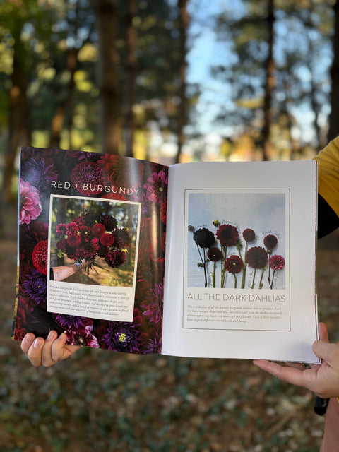 Dahlia Collection Catalogue 2025 - Sunny Meadows Flower Farm