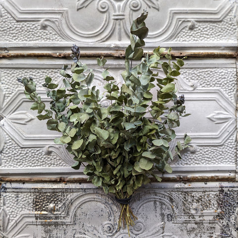 Dried Foliage Bunch-Eucalyptus - Sunny Meadows Flower Farm