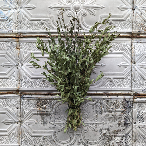 Dried Foliage Bunch-Eucalyptus - Sunny Meadows Flower Farm