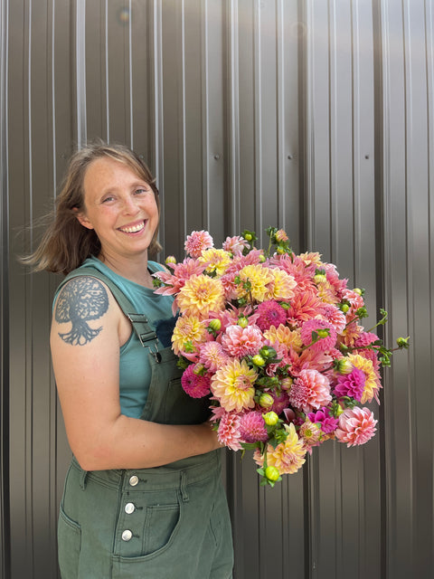Dahlias at Your Door-6 Week Subscription - Sunny Meadows Flower Farm