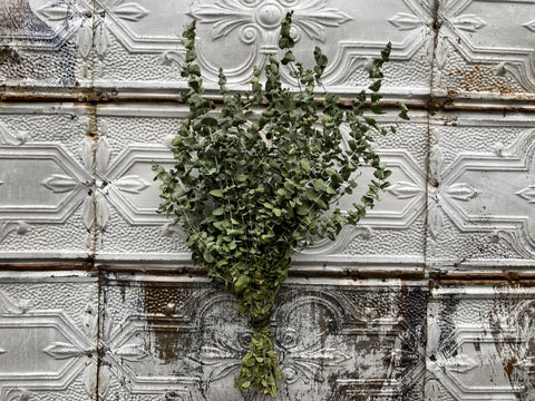 Dried Foliage Bunch-Eucalyptus - Sunny Meadows Flower Farm