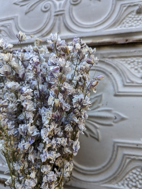 Dried Flower Bunch-Larkspur Smokey Eyes - Sunny Meadows Flower Farm