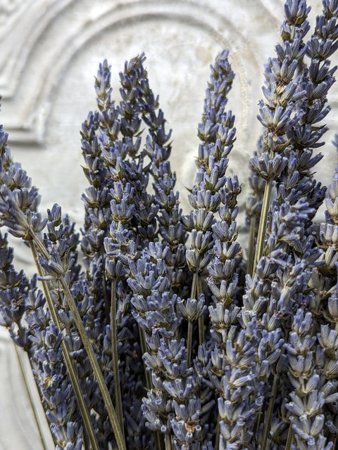 Dried Flower Bunch-Lavender - Sunny Meadows Flower Farm