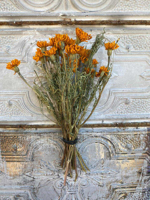 Dried Flower Bunch-Marigold Gold - Sunny Meadows Flower Farm