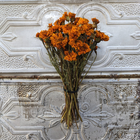 Dried Flower Bunch-Marigold Orange - Sunny Meadows Flower Farm