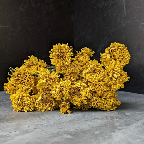 Dried Flower Bunch-Marigold Yellow - Sunny Meadows Flower Farm