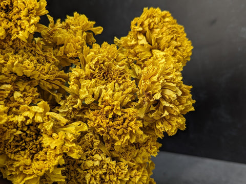 Dried Flower Bunch-Marigold Yellow - Sunny Meadows Flower Farm