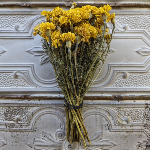 Dried Flower Bunch-Marigold Yellow - Sunny Meadows Flower Farm