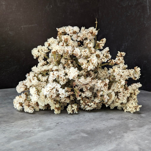 Dried Flower Bunch-Statice White - Sunny Meadows Flower Farm