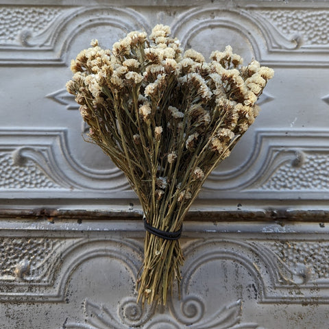 Dried Flower Bunch-Statice White - Sunny Meadows Flower Farm
