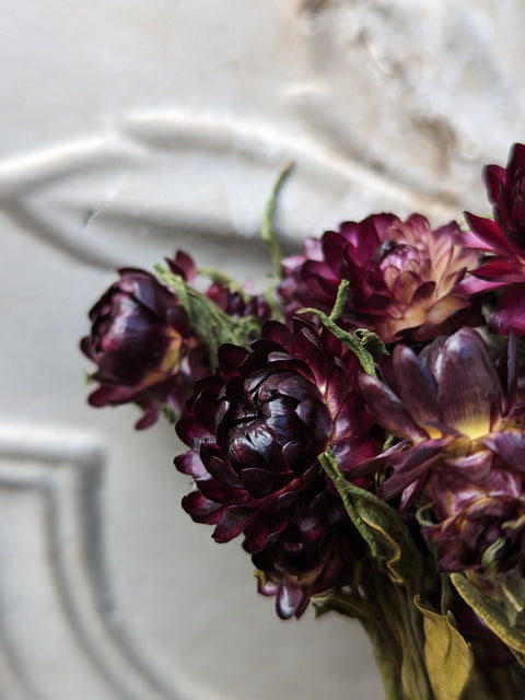 Dried Flower Bunch-Strawflower Burgundy - Sunny Meadows Flower Farm