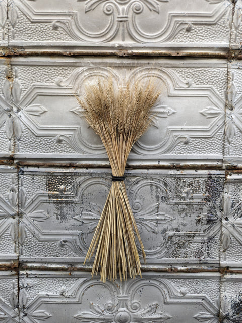 Dried Flower Bunch-Wheat - Sunny Meadows Flower Farm