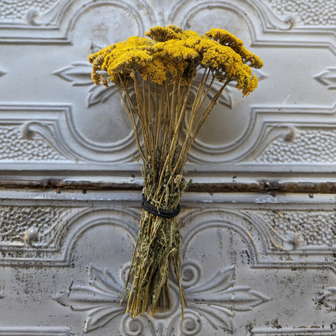 Dried Flower Bunch-Yellow Yarrow - Sunny Meadows Flower Farm