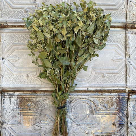 Dried Foliage Bunch-Mountain Mint - Sunny Meadows Flower Farm