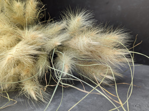 Dried Grasses-Feathertop Grass - Sunny Meadows Flower Farm