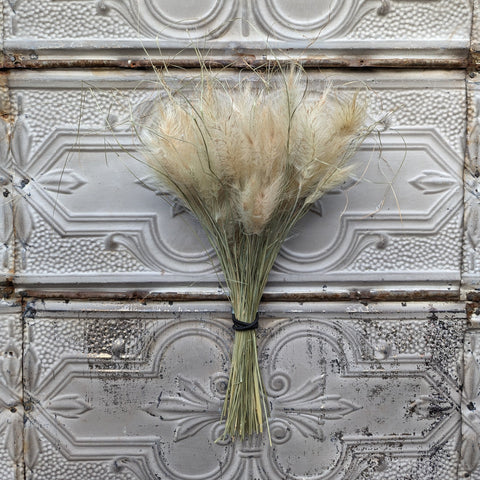 Dried Grasses-Feathertop Grass - Sunny Meadows Flower Farm