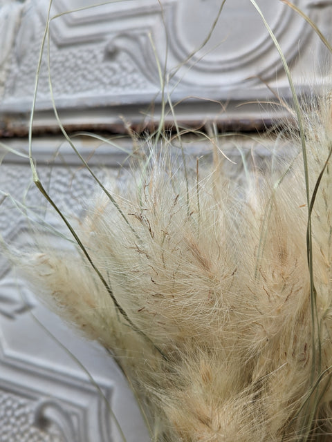 Dried Grasses-Feathertop Grass - Sunny Meadows Flower Farm