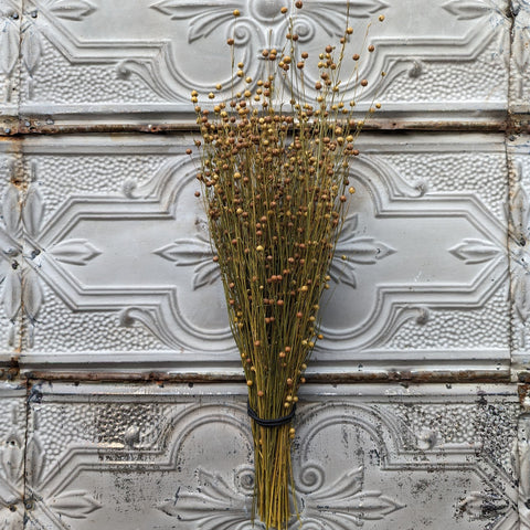Dried Grasses-Flax - Sunny Meadows Flower Farm
