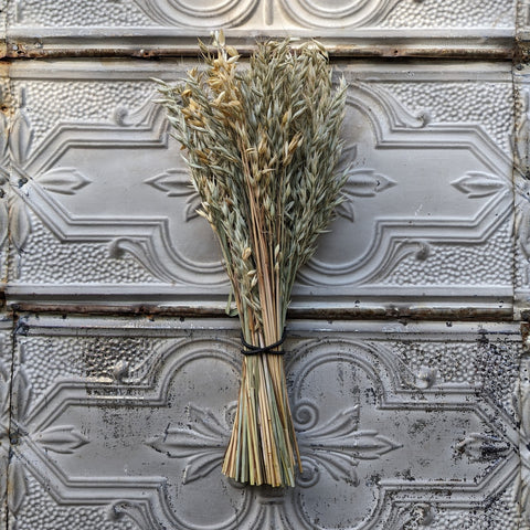 Dried Grasses-Oats - Sunny Meadows Flower Farm