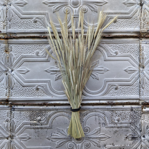 Dried Grasses-Rye - Sunny Meadows Flower Farm