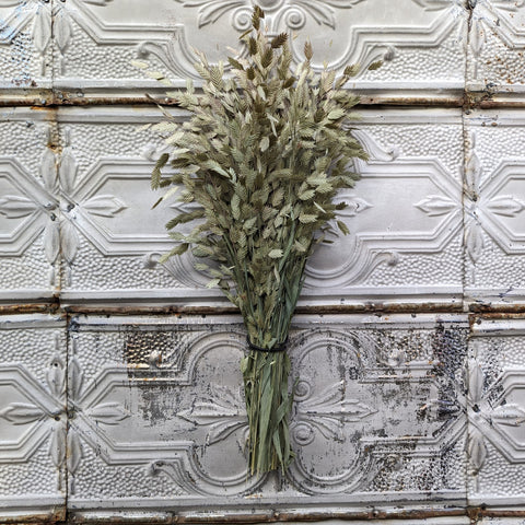 Dried Grasses-Sea Oats - Sunny Meadows Flower Farm
