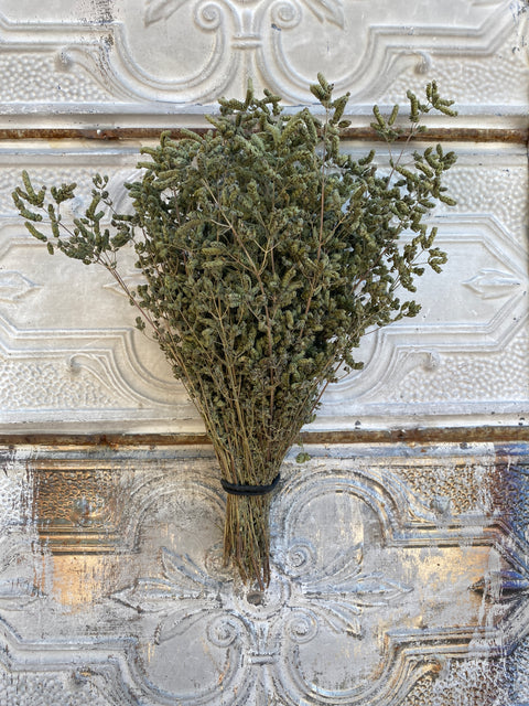 Dried Foliage Bunch - Oregano Italian - Sunny Meadows Flower Farm