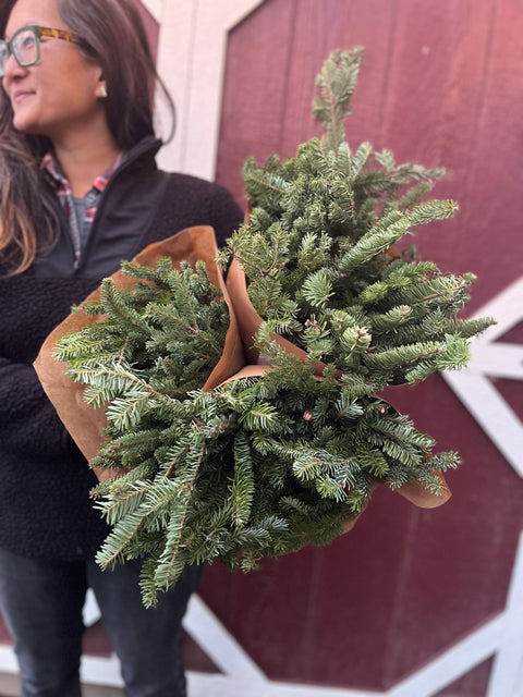 Evergreens Bundle-Frasier Fir - Sunny Meadows Flower Farm