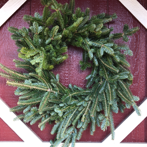 Festive Fir wreath.
