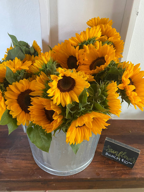 Sunflowers at Your Door