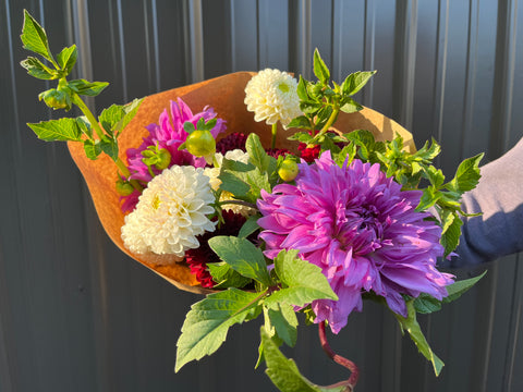 Dahlias at Your Door - Sunny Meadows Flower Farm