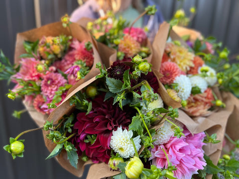 Dahlias at Your Door - Sunny Meadows Flower Farm