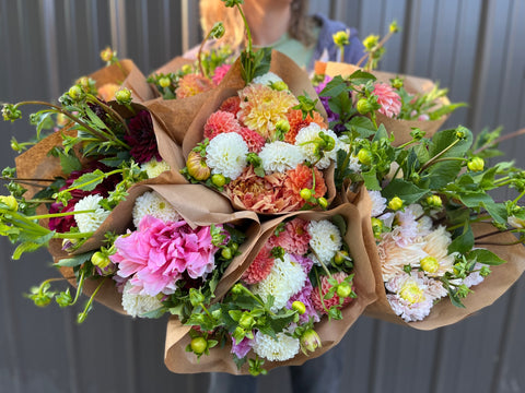 Dahlias at Your Door - Sunny Meadows Flower Farm